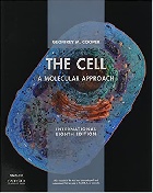 THE CELL:A MOLECULAR APPROACH 8/E 2020 - 1605358630