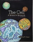 THE CELL:A MOLECULAR APPROACH 8/E 2018 - 1605357073 - 9781605357072