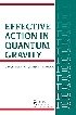 EFFECTIVE ACTION IN QUANTUM GRAVITY 1992 - 0750301228