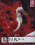 BIOCHEMISTRY 6/E 2017 - 9000025559
